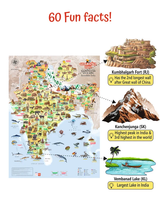 Unik Play Geografika India Map Game with Flash Cards Board Game | Geography Game, Learn Capitals & Languages Spoken, 6Y+ - Image 4
